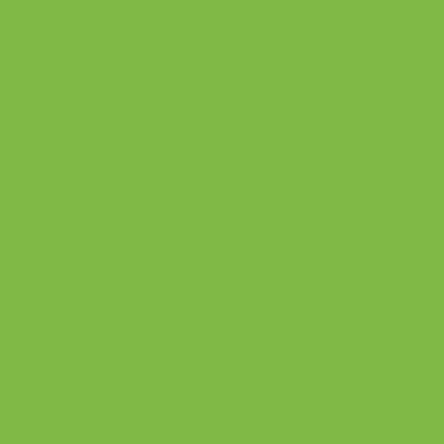color of the day